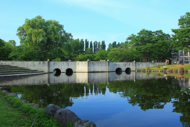 公園１.jpg