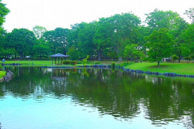 公園２.jpg