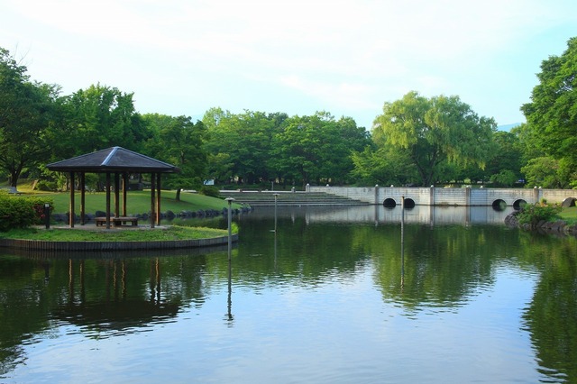 公園６.jpg