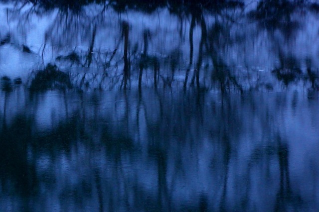水辺のアート２.jpg